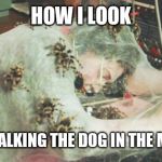 Walk the dog. | HOW I LOOK; AFTER WALKING THE DOG IN THE MORNING | image tagged in psst spiderman | made w/ Imgflip meme maker