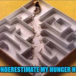 When you're hungry, there's no time for games!!! | YOU UNDERESTIMATE MY HUNGER HUMAN | image tagged in mouse maze,memes,mazes,funny,hungry mouse,no time for games | made w/ Imgflip meme maker