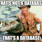 Crocodile Dundee Paul Hogan | THAT'S NOT A DATABASE; THAT'S A DATABASE | image tagged in crocodile dundee paul hogan | made w/ Imgflip meme maker