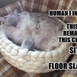 I INSIST | YES HUMAN I INSIST THAT THIS BED REMAIN IN THIS CHAIR! SIT ON THE FLOOR SLAVE! | image tagged in i insist | made w/ Imgflip meme maker