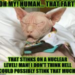 RADIOACTIVE FART | OH MY! HUMAN... THAT FART! THAT STINKS ON A NUCLEAR LEVEL! MAN! I DON'T THINK HELL COULD POSSIBLY STINK THAT MUCH! | image tagged in radioactive fart | made w/ Imgflip meme maker