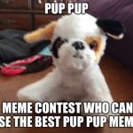 Pup pup | PUP PUP; MEME CONTEST WHO CAN USE THE BEST PUP PUP MEME | image tagged in pup pup | made w/ Imgflip meme maker