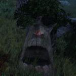 Surprised tree stump