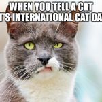 UNINTERESTED CAT | WHEN YOU TELL A CAT IT'S INTERNATIONAL CAT DAY | image tagged in uninterested cat | made w/ Imgflip meme maker