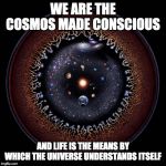 The universe | WE ARE THE COSMOS MADE CONSCIOUS; AND LIFE IS THE MEANS BY WHICH THE UNIVERSE UNDERSTANDS ITSELF | image tagged in the universe | made w/ Imgflip meme maker