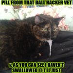 I SAID NO | YOU SEE THIS HUMAN? I SAID NO I WON'T SWALLOW A PILL FROM THAT BALL HACKER VET; & AS YOU CAN SEE I HAVEN'T SWALLOWED IT. I'LL JUST LET IT DISSOLVE IN MY MOUTH & DROOL IT OUT ALL OVER YOUR BED! | image tagged in i said no | made w/ Imgflip meme maker