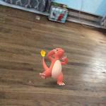 Sneezing charmeleon