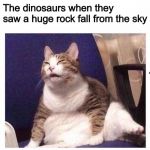 Confused fat cat | The dinosaurs when they saw a huge rock fall from the sky | image tagged in confused fat cat | made w/ Imgflip meme maker