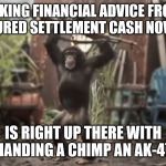 Monkey With AK-47 | TAKING FINANCIAL ADVICE FROM STRUCTURED SETTLEMENT CASH NOW PUNKS; IS RIGHT UP THERE WITH HANDING A CHIMP AN AK-47 | image tagged in monkey with ak-47 | made w/ Imgflip meme maker