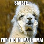 Lhama | SAVE IT... FOR THE DRAMA LHAMA! | image tagged in lhama | made w/ Imgflip meme maker