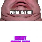 How this meme should be used | WHAT IS THAT; INSERT IMAGE HERE; INSERT TEXT HERE | image tagged in fat person being shocked | made w/ Imgflip meme maker