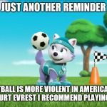 football fail | JUST ANOTHER REMINDER; FOOTBALL IS MORE VIOLENT IN AMERICA YOU WILL GET HURT EVREST I RECOMMEND PLAYING BASEBALL | image tagged in everest spinning a soccer ball on her tail paw patrol | made w/ Imgflip meme maker