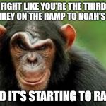 chimp scowl | FIGHT LIKE YOU'RE THE THIRD MONKEY ON THE RAMP TO NOAH'S ARK; AND IT'S STARTING TO RAIN! | image tagged in chimp scowl | made w/ Imgflip meme maker