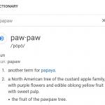 Papaw