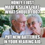 old couple | HONEY, I JUST MADE A SILENT FART. WHAT SHOULD I DO? PUT NEW BATTERIES IN YOUR HEARING AID. | image tagged in old couple | made w/ Imgflip meme maker