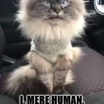 NOT AMUSED | I, MERE HUMAN, AM NOT AMUSED BY THIS! | image tagged in not amused | made w/ Imgflip meme maker