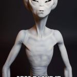 Alien free from 51 | WHEN YOU FREE AN ALIEN FROM; AREA 51 AND IT SEE THE LIGHT FOR THE FIRST TIME | image tagged in alien free from 51 | made w/ Imgflip meme maker