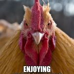 Breakfast is the most important meal of the day. | ENJOYING THE EGG HUMAN? | image tagged in angry chicken,eat more eggs,sorry chicken i was hungry,i was weak,no vegan for me | made w/ Imgflip meme maker