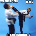Roundhouse Kick Chuck Norris | DISNEY VACATION PLANS; PROPERTY TAXES; CLEAR ENOUGH  ? | image tagged in roundhouse kick chuck norris | made w/ Imgflip meme maker