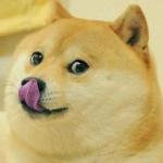 Doge Tongue meme