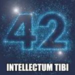 42 | INTELLECTUM TIBI | image tagged in 42 | made w/ Imgflip meme maker