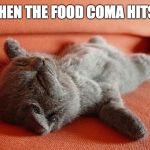 Cute Sleeping Kitten | WHEN THE FOOD COMA HITS... | image tagged in cute sleeping kitten | made w/ Imgflip meme maker