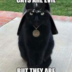 Dark cat | I'M NOT SAYING CATS ARE EVIL; BUT THEY ARE ON THE DARK SIDE | image tagged in dark cat | made w/ Imgflip meme maker