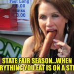 State Fair time | STATE FAIR SEASON...WHEN EVERYTHING YOU EAT IS ON A STICK. | image tagged in michele bachmann | made w/ Imgflip meme maker