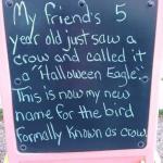 Poe Crow