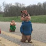 Chipmunks