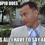 Forest Gump | STUPID IS AS STUPID DOES; AND THAT'S ALL I HAVE TO SAY ABOUT THAT | image tagged in forest gump | made w/ Imgflip meme maker