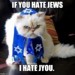 Jew Cat | IF YOU HATE JEWS; I HATE JYOU. | image tagged in jew cat | made w/ Imgflip meme maker