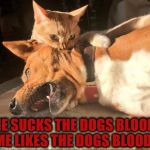 BLOOD SUCKER | ME SUCKS THE DOGS BLOOD! ME LIKES THE DOGS BLOOD! | image tagged in blood sucker | made w/ Imgflip meme maker