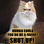 DO ME A FAVOR | HUMAN COULD YOU DO ME A FAVOR? SHUT UP! | image tagged in do me a favor | made w/ Imgflip meme maker