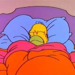 Homer Simpson Sleeping Happy meme
