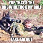 Dog spotter on sniper team | YUP THAT'S THE
ONE WHO TOOK MY BALL; TAKE 'EM OUT | image tagged in dog spotter on sniper team | made w/ Imgflip meme maker