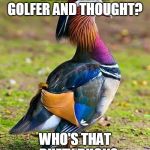 DUFFY DUCK | EVER SEEN A GOLFER AND THOUGHT? WHO'S THAT - DUFFY DUCK? | image tagged in strutting mandarin duck,puns,humor | made w/ Imgflip meme maker