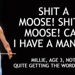 Bismillah, no! | SHIT A MOOSE! SHIT A MOOSE! CAN I HAVE A MANGO? MILLIE, AGE 3, NOT QUITE GETTING THE WORDS RIGHT | image tagged in queen freddy mercury | made w/ Imgflip meme maker