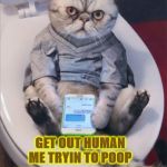 ME DEMANDS | GET OUT HUMAN ME TRYIN TO POOP; GIVE MEH SOME PRIVACY DOMMIT YOU STUPID TURD! | image tagged in me demands | made w/ Imgflip meme maker