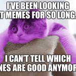 RayCat Stare | I’VE BEEN LOOKING AT MEMES FOR SO LONG... I CAN’T TELL WHICH ONES ARE GOOD ANYMORE | image tagged in raycat stare | made w/ Imgflip meme maker