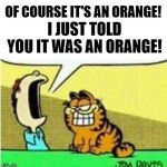 John Yelling at Garfield | OF COURSE IT'S AN ORANGE! I JUST TOLD YOU IT WAS AN ORANGE! | image tagged in john yelling at garfield | made w/ Imgflip meme maker