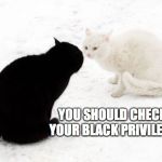 BLACK PRIVILEGE MEME | YOU SHOULD CHECK YOUR BLACK PRIVILEGE | image tagged in black privilege meme | made w/ Imgflip meme maker