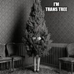 trans | I'M TRANS TREE | image tagged in trans | made w/ Imgflip meme maker