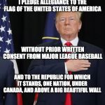 Trump Pledge of Allegiance | I PLEDGE ALLEGIANCE TO THE FLAG OF THE UNITED STATES OF AMERICA; WITHOUT PRIOR WRITTEN CONSENT FROM MAJOR LEAGUE BASEBALL; AND TO THE REPUBLIC FOR WHICH IT STANDS, ONE NATION, UNDER CANADA, AND ABOVE A BIG BEAUTIFUL WALL | image tagged in trump pledge of allegiance | made w/ Imgflip meme maker