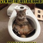 I'M NOT FAT | HUMAN HELP ME I'M STUCK & I'M NOT FAT JUST BIG BONED! STOP LAUGHING! | image tagged in i'm not fat | made w/ Imgflip meme maker