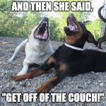 dogs laughing | AND THEN SHE SAID, "GET OFF OF THE COUCH!" | image tagged in dogs laughing | made w/ Imgflip meme maker