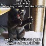 Freaked-Out Feline | I returned to the litter box expecting to see it just like I'd left it; and the turds were gone - gone I tell you, GONE! | image tagged in freaked-out feline,funny cats | made w/ Imgflip meme maker