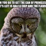 Seriously Owl | WHEN YOU GO TO GET THE CAN OF PRINGLES AND ALL THAT'S LEFT IS HALF A CHIP AND THE FLAVOR DUST. | image tagged in seriously owl | made w/ Imgflip meme maker