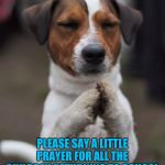 Sad that we even have to worry about something so routine. | PLEASE SAY A LITTLE PRAYER FOR ALL THE CHILDREN RETURNING TO SCHOOL | image tagged in praying dog,memes,school,children,say a little prayer | made w/ Imgflip meme maker