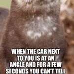 Disapproving Otter | WHEN THE CAR NEXT TO YOU IS AT AN ANGLE AND FOR A FEW SECONDS YOU CAN’T TELL IF YOU’RE PARKED STRAIGHT | image tagged in disapproving otter | made w/ Imgflip meme maker